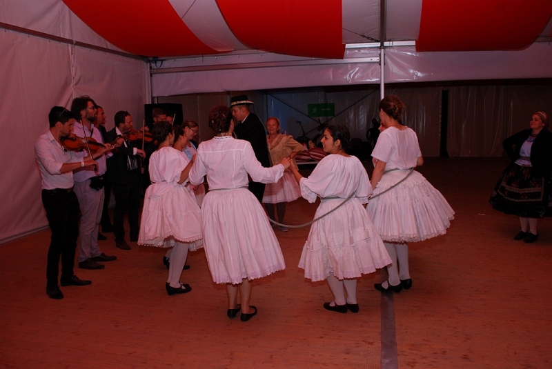 DSC_2364 (Medium).JPG
